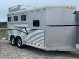1999 Elite Custom 3 Horse Trailer Online