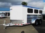 2019 Cimarron Showstar 6 pen Online