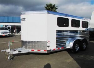 2019 Cimarron Showstar 6 pen Online